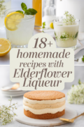 recipes-using-elderflower-liqueur-bbbbb-17302