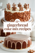 recipes-using-gingerbread-cake-mix-bbbbb-45623