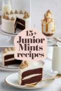 recipes-using-junior-mints-bbbbb-95689