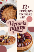 recipes-using-victoria-plums-bbbbb-57914