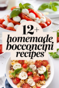 recipes-with-bocconcini-bbbbb-21872