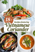 recipes-with-vietnamese-coriander-bbbbb-46961