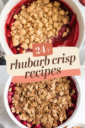 rhubarb-crisp-recipes-bbbbb-31986