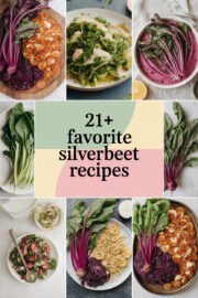 21+ Favorite Silverbeet Recipes You’ll Love to Cook and Share with Family! silverbeet-ccccc-11750