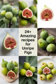 unripe-figs-ccccc-83141