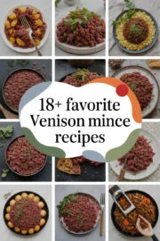 venison-mince-ccccc-16751