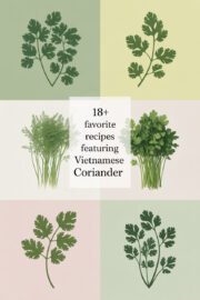 vietnamese-coriander-ccccc-26177