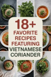 vietnamese-coriander-ccccc-39595