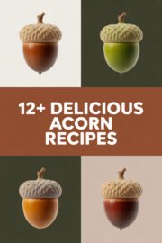 12+ Delicious Recipes to Transform Acorns into Tasty Treats You’ll Love! acorns-ccccc-51102