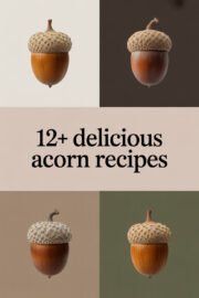 acorns-ccccc-67845