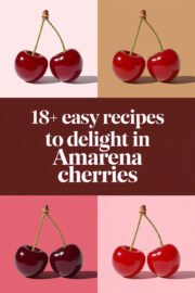 amarena-cherries-ccccc-30708