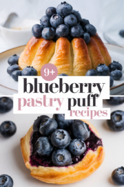 blueberry-pastry-puff-recipes-bbbbb-35100