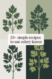 24+ Simple Recipes to Use Celery Leaves That Will Elevate Your Cooking! celery-leaves-ccccc-29004