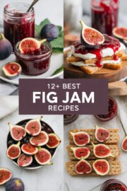 fig-jam-ccccc-60666