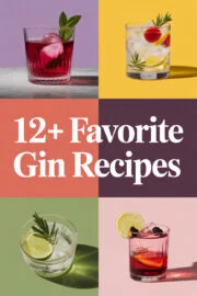 12+ Favorite Gin Recipes to Delight Your Taste Buds and Impress Your Friends! gin-recipes-ccccc-65026