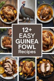guinea-fowl-ccccc-49898