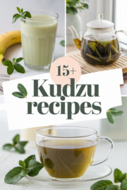 kudzu-recipes-bbbbb-74904