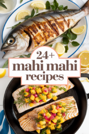 mahi-mahi-recipes-bbbbb-58883