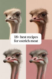 18+ Best Recipes for Delicious Ostrich Meat You Must Try Today! ostrich-meat-ccccc-48934