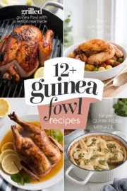 recipes-for-guinea-fowl-2-bbbbb-34746