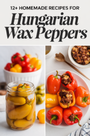 recipes-for-hungarian-wax-peppers-2-bbbbb-91708