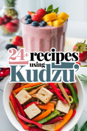 recipes-for-kudzu-bbbbb-83529