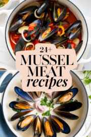 recipes-for-mussel-meat-2-bbbbb-36653