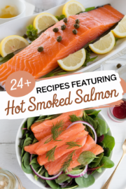 recipes-using-hot-smoked-salmon-bbbbb-91714