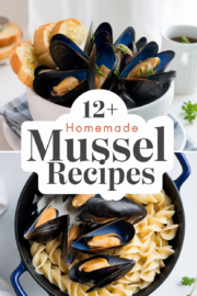 recipes-using-mussels-bbbbb-82548