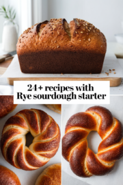 recipes-using-rye-sourdough-starter-bbbbb-21126