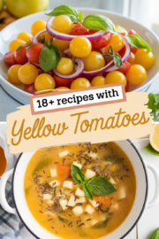 recipes-with-yellow-tomatoes-2-bbbbb-56453