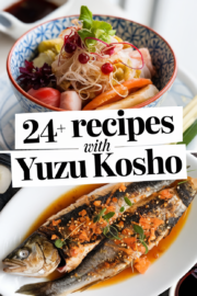 recipes-with-yuzu-kosho-bbbbb-29641