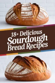18+ Delicious Sourdough Bread Recipes You Must Try for a Tasty Twist on Your Meals! sourdough-bread-ccccc-87426