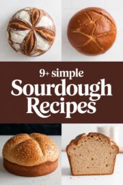 sourdough-recipes-ccccc-85259