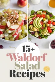 waldorf-salad-recipes-2-bbbbb-69151