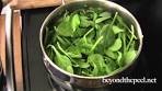 10 Minute Coconut Spinach Soup