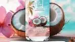 A coconut Paradise! 🏝️ Introducing Paradise Scented ...