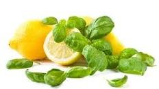 Basil-Flavoured Lemon Sorbet (Sorbetto di Limone al Basilico)
