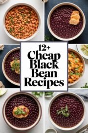 12+ Homemade Black Bean Recipes That Are Delicious and Budget-Friendly – cheap black bean recipes