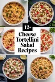 12+ Homemade Cheese Tortellini Salad Recipes That Will Make Your Taste Buds Dance! – cheese tortellini salad recipes