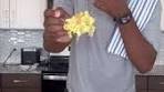 Cheesy Chicken Broocoli and Rice Casserole! This recipe hits ...