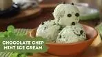 Chocolate Chip Mint Ice Cream | Homemade Ice Cream | Easy ...