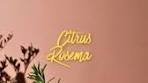 Citrus Rosemary Mocktail Spritzer Whether you're doing ...