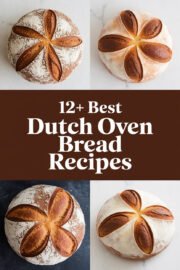 dutch-oven-artisan-ccccc-77376