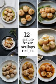 frozen-scallops-ccccc-39449