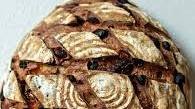 Fruit Sourdough