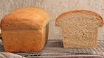 Honey Wheat Bread (Pantry Basics)