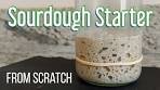How to Make a Sourdough Starter (with Rye Flour)