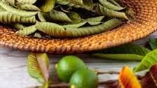How To Make Guava Leaf Tea