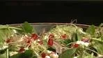 How to Make Spinach and Pomegranate Salad | Salad ...